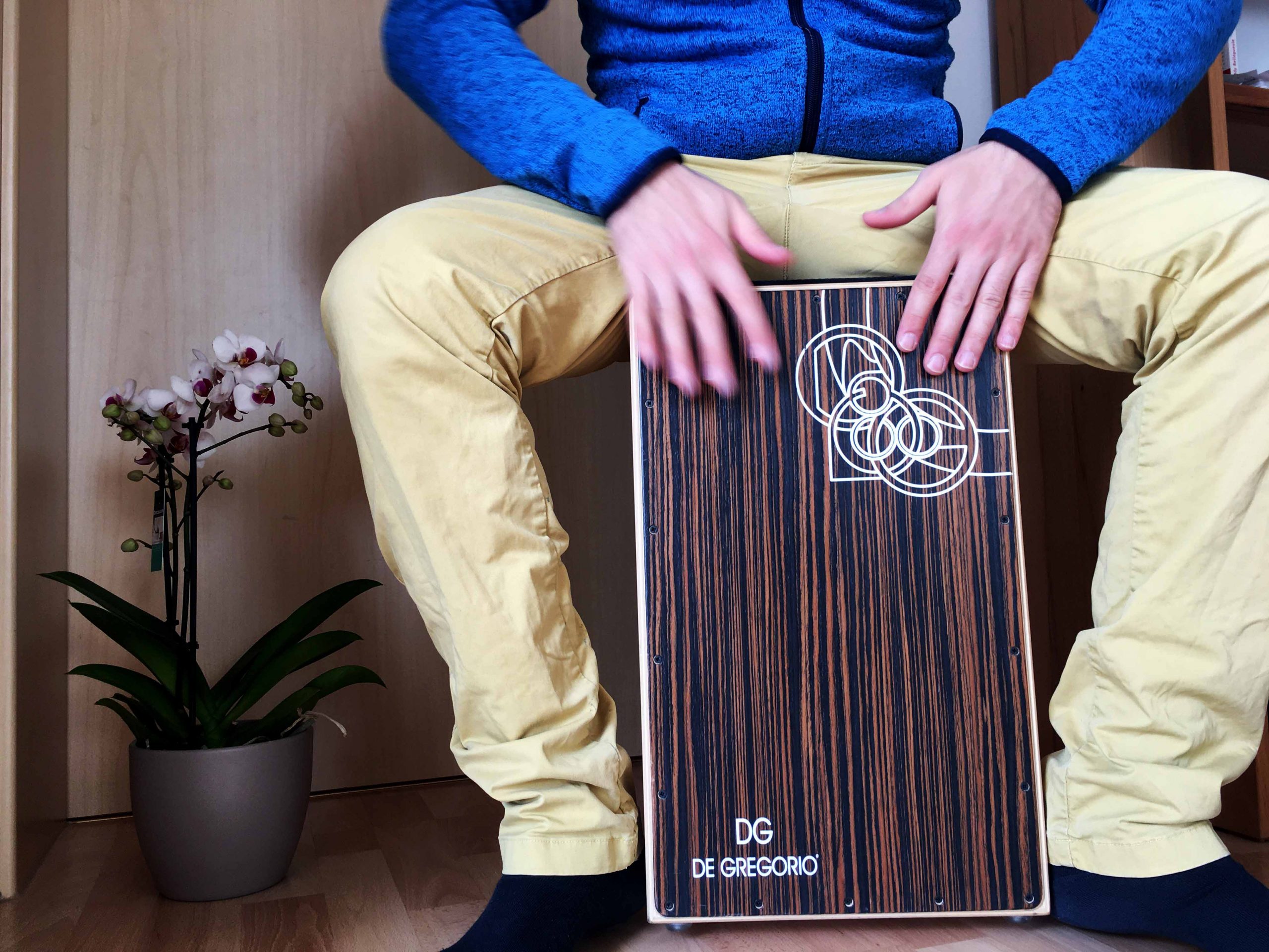 Cajon Unterricht in Regensburg Antonino Secchia